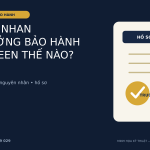 Ranh giới khi đánh giá mạch xi nhan ảnh hưởng bảo hành