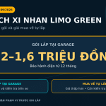 Giá mạch xi nhan Limo Green từ 1,2 đến 1,6 triệu đồng