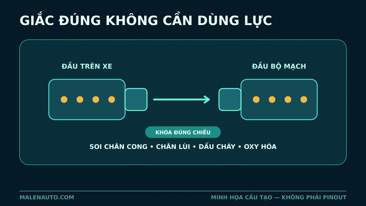 Cấu tạo khái quát của giắc khóa dùng khi lắp module
